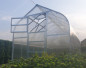 Zahradní skleník z polykarbonátu Standard