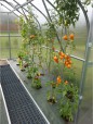 Zahradní skleník z polykarbonátu Standard